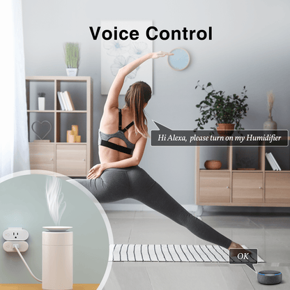 GHomeSmart | Smart Wifi Plug 15A WP6 - GHome Smart Official